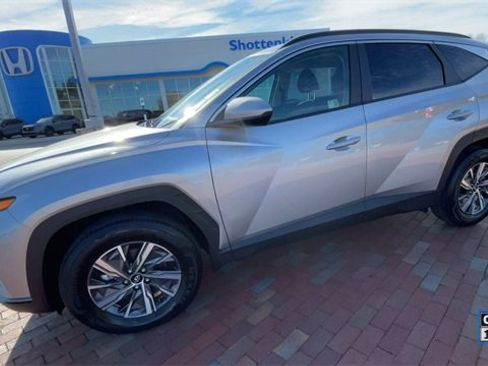 Used 2024 Hyundai Tucson Blue image 6