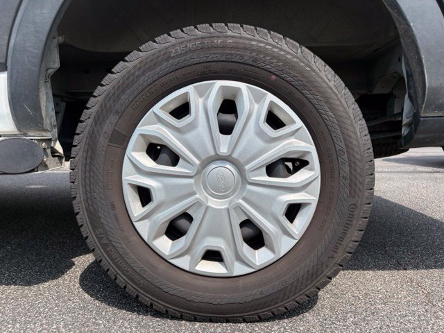 Used 2025 Ford Transit 250 Low Roof w/ Exterior Upgrade Package RWD image 16
