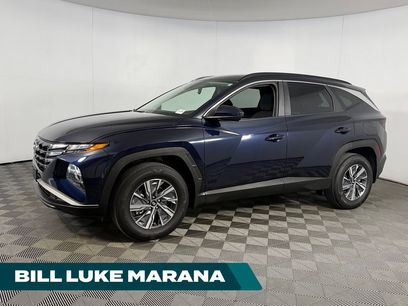 Used 2024 Hyundai Tucson Blue