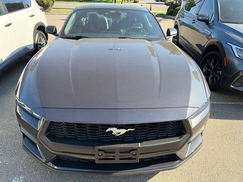 Used 2024 Ford Mustang Coupe RWD image 2