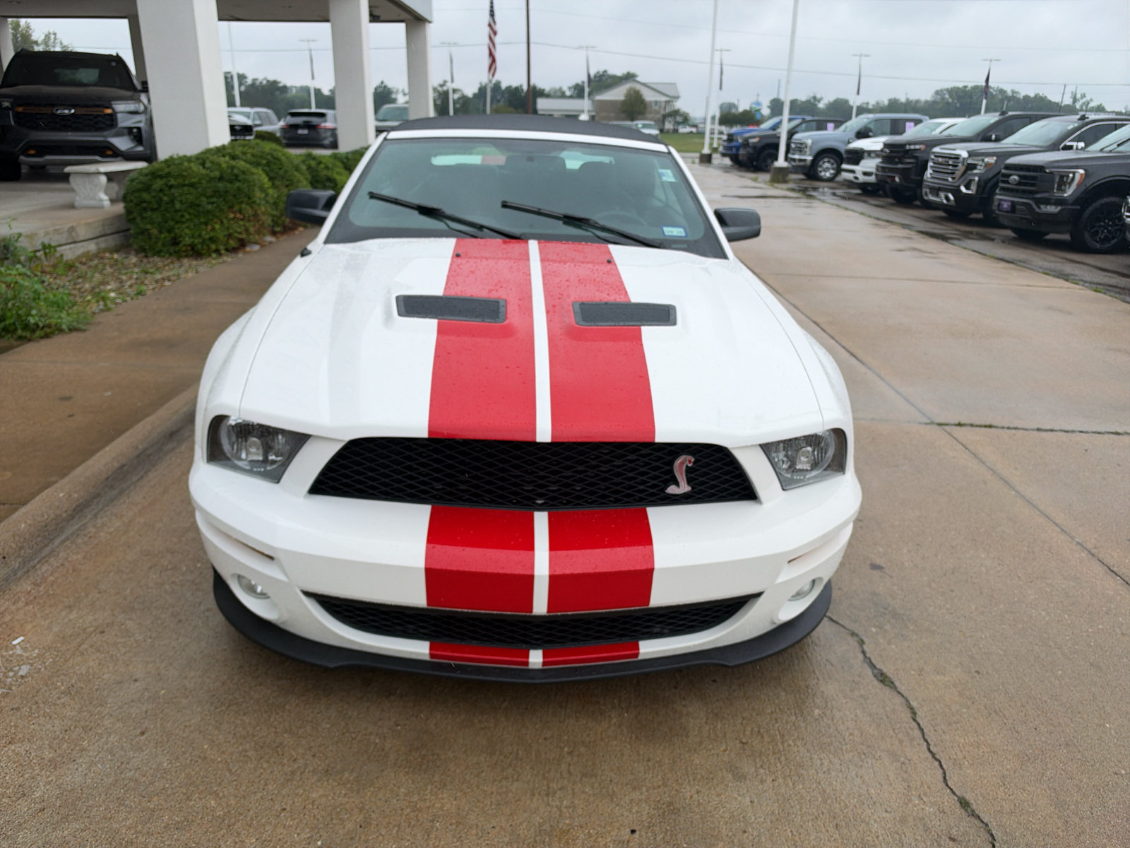 Used 2008 Ford Mustang Shelby GT500 RWD image 3