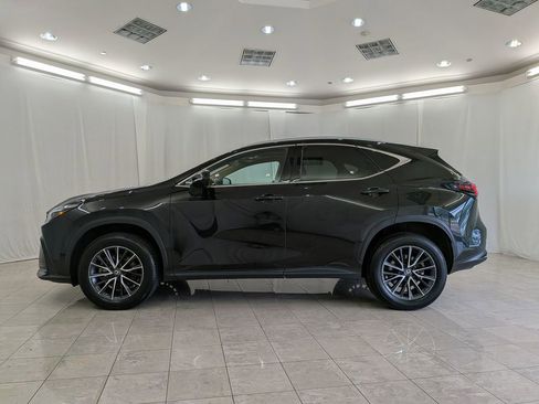 Used 2024 Lexus NX 250 AWD w/ Cold Area Package image 5