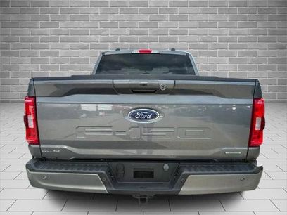 Certified 2023 Ford F150 XLT w/ Equipment Group 302A High