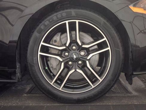 Used 2018 Ford Mustang GT Premium w/ Equipment Group 401A RWD image 13