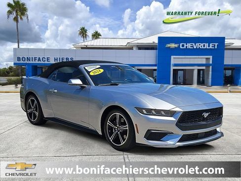 Used 2024 Ford Mustang Premium RWD image 1