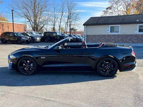 Used 2019 Ford Mustang GT Premium w/ Equipment Group 401A image 10