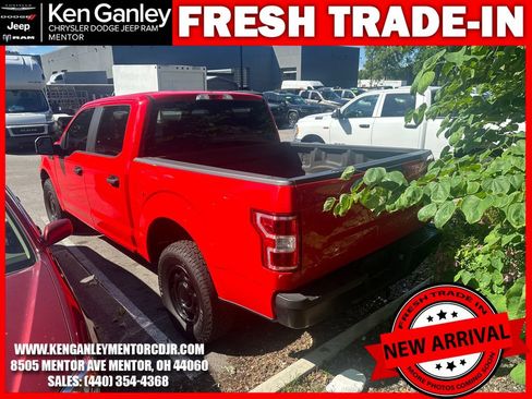 Used 2019 Ford F150 XL w/ XL Power Equipment Group AWD/4WD image 9