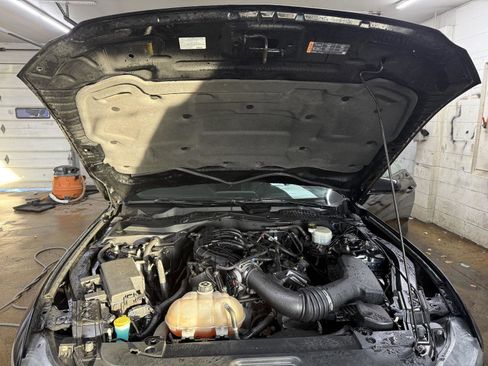 Used 2015 Ford Mustang Coupe w/ Equipment Group 051A image 22