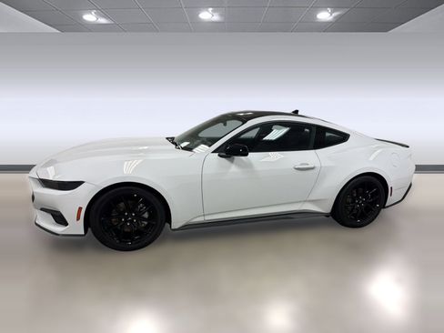 Used 2025 Ford Mustang Coupe w/ Mustang Nite Pony Package RWD image 2