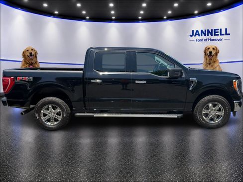 Used 2023 Ford F150 XLT w/ Equipment Group 302A High AWD/4WD image 4