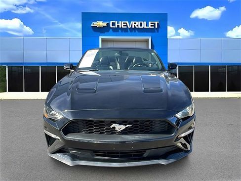 Used 2020 Ford Mustang Premium image 8