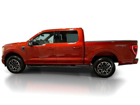 Used 2023 Ford F150 XLT w/ Equipment Group 302A High AWD/4WD image 2