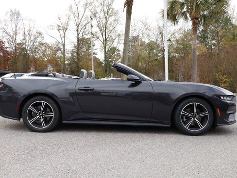 Used 2024 Ford Mustang Premium image 6