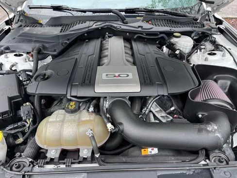Used 2018 Ford Mustang GT w/ Equipment Group 301A RWD image 7