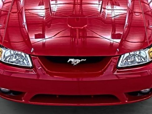 Used 1999 Ford Mustang Cobra image 16