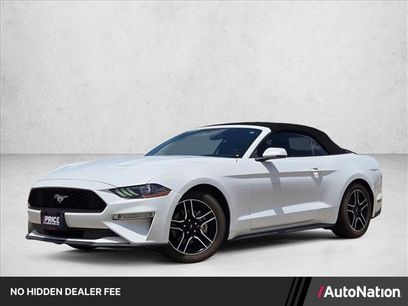 Used 2019 Ford Mustang Premium