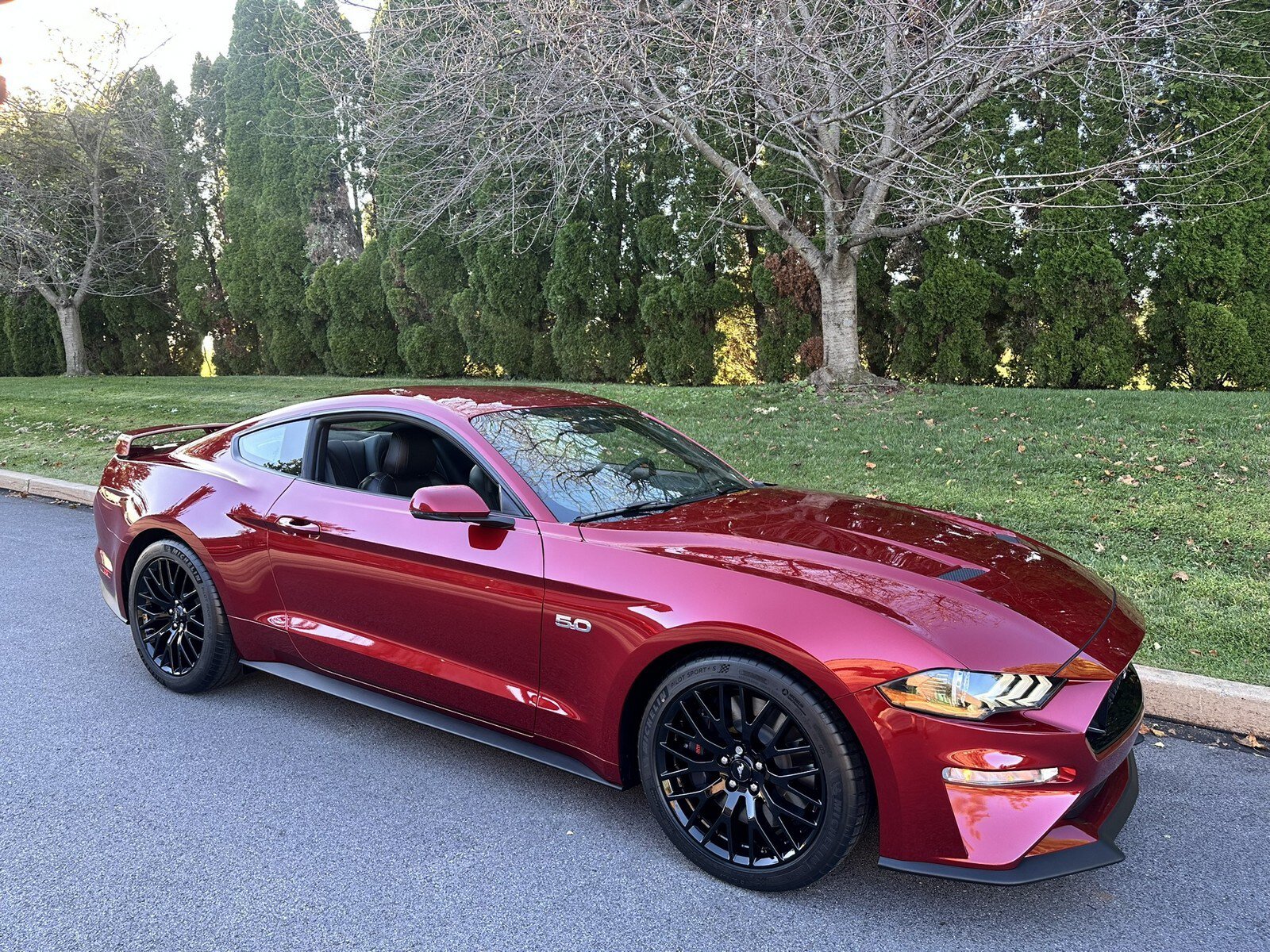 Used 2019 Ford Mustang GT Premium w/ GT Performance Package RWD image 43