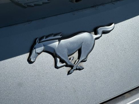 Used 2024 Ford Mustang Premium image 25