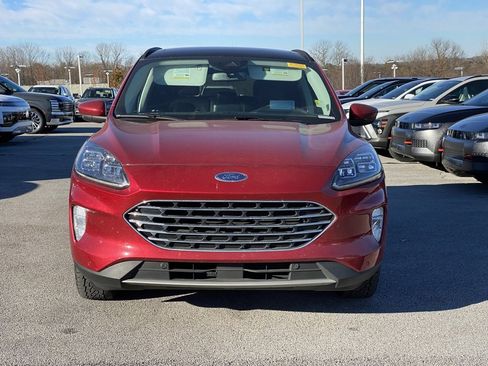 Used 2021 Ford Escape Titanium w/ Titanium Premium Package image 2