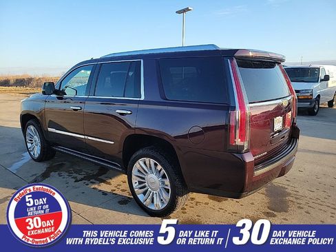 Used 2017 Cadillac Escalade Platinum image 5