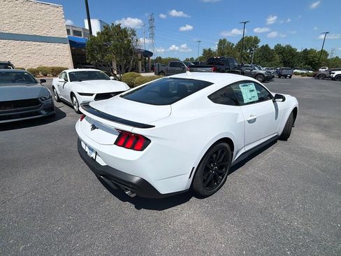 New 2026 Ford Mustang Coupe w/ Mustang Nite Pony Package RWD image 12