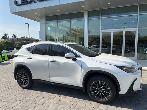 Used 2024 Lexus NX 350h AWD w/ Vision Package image 6