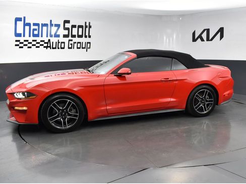 Used 2020 Ford Mustang Premium RWD image 2