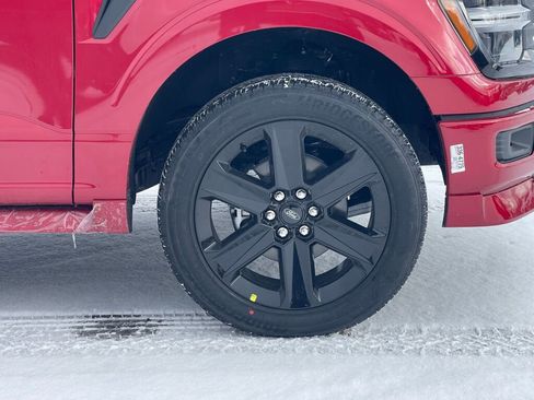 New 2025 Ford F150 STX w/ LOBO Package image 19