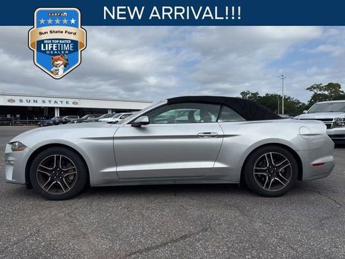 Used 2019 Ford Mustang Premium image 1