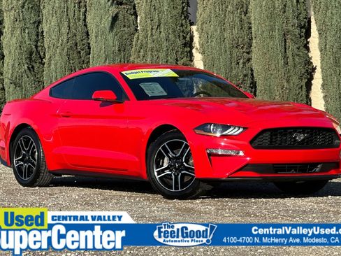 Used 2019 Ford Mustang Premium image 1