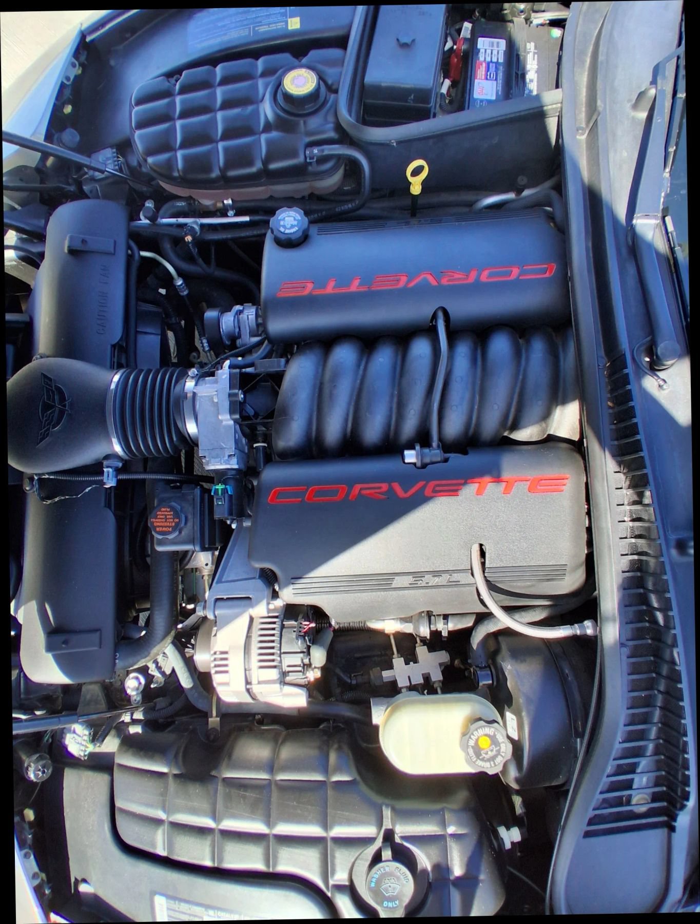 Used 2000 Chevrolet Corvette Convertible w/ Memory Pkg RWD image 15