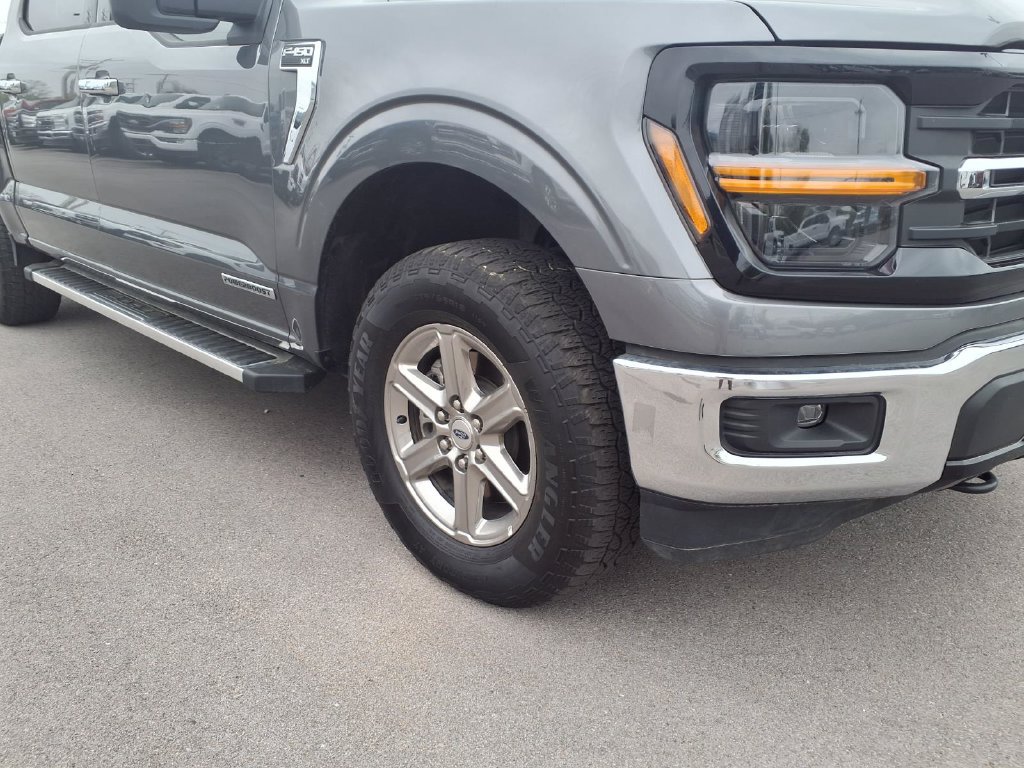 Used 2025 Ford F150 XLT w/ Equipment Group 301A Standard AWD/4WD image 18