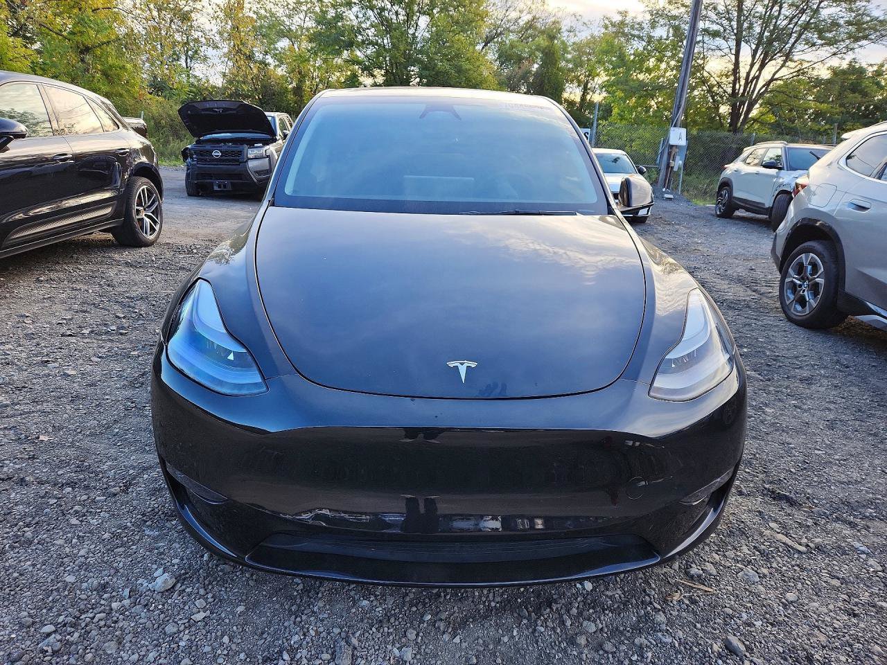 Used 2025 Tesla Model Y Long Range AWD/4WD image 2