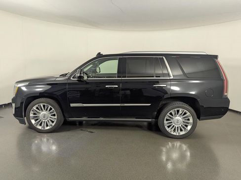 Used 2019 Cadillac Escalade Platinum image 3