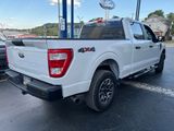 Used 2021 Ford F150 XL w/ Equipment Group 101A High image 2