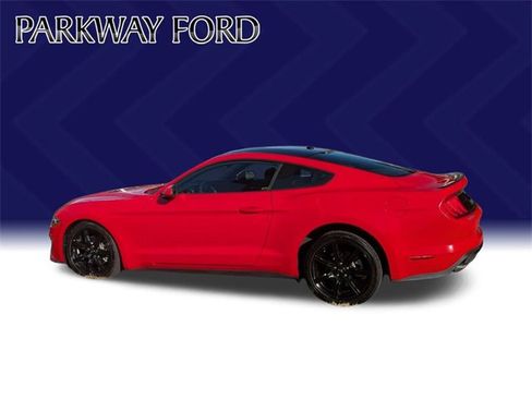 Used 2019 Ford Mustang Coupe w/ Black Accent Package image 8