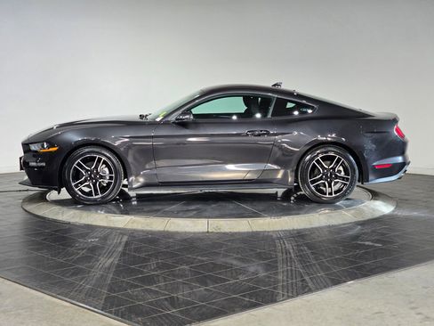 Used 2022 Ford Mustang Coupe w/ Equipment Group 101A image 6