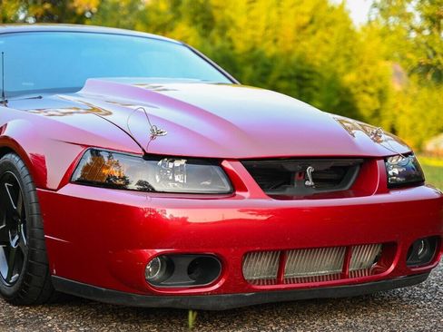Used 2003 Ford Mustang Cobra RWD image 30
