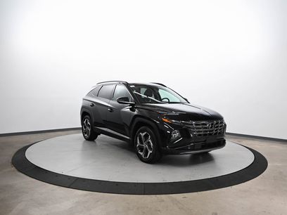 Used 2024 Hyundai Tucson Limited