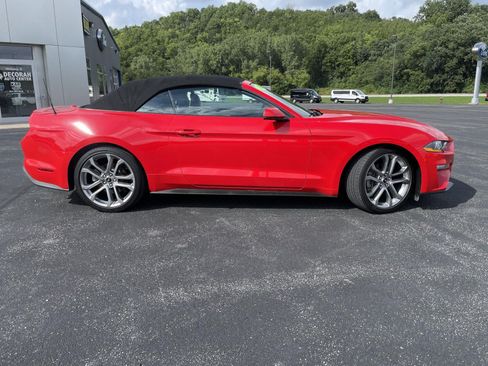 Used 2023 Ford Mustang Premium w/ Equipment Group 201A RWD image 2