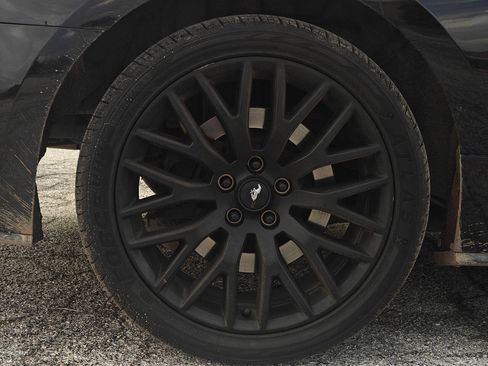Used 2019 Ford Mustang GT Premium w/ Equipment Group 401A RWD image 19