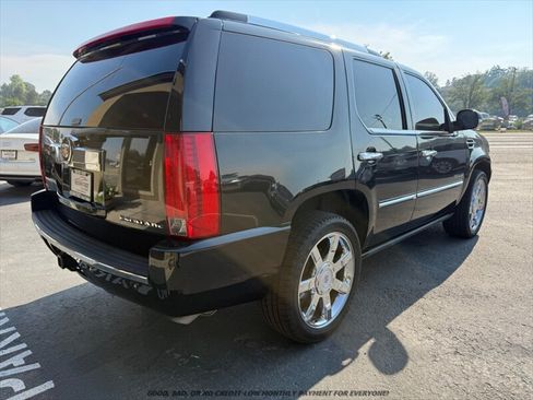 Used 2010 Cadillac Escalade Premium AWD/4WD image 7