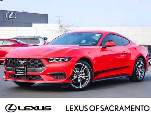 Used 2024 Ford Mustang EcoBoost image 1