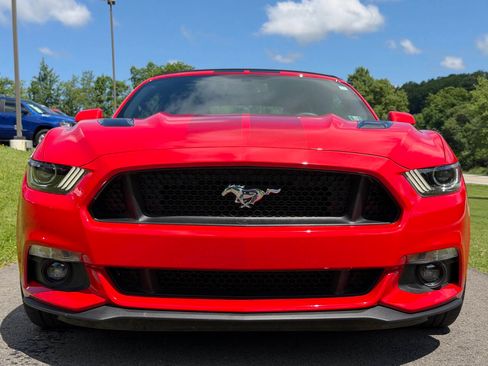 Used 2017 Ford Mustang GT Premium w/ Equipment Group 401A RWD image 11