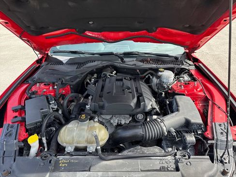Used 2019 Ford Mustang Coupe w/ Equipment Group 101A RWD image 25