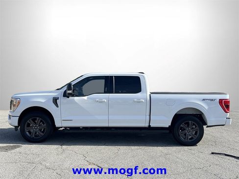 Certified 2023 Ford F150 XLT w/ Equipment Group 302A High image 2
