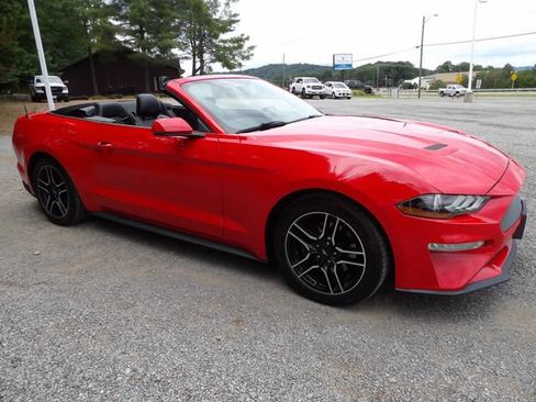 Used 2020 Ford Mustang Premium RWD image 13
