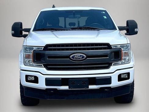 Used 2020 Ford F150 XLT w/ Equipment Group 302A Luxury AWD/4WD image 3