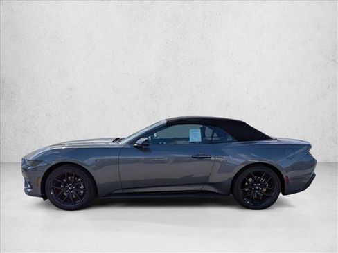 New 2026 Ford Mustang Premium w/ Mustang Nite Pony Package image 5