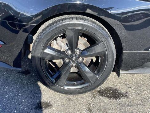 Used 2023 Ford Mustang Premium w/ Mustang Nite Pony Package image 9